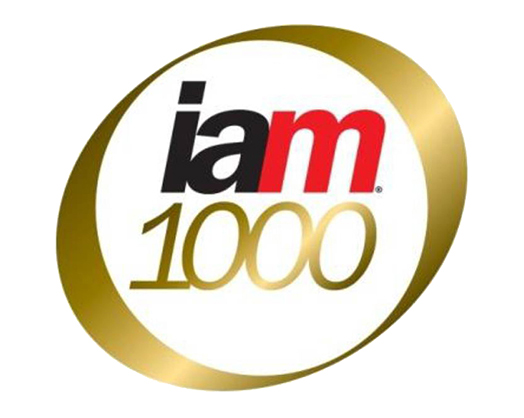 IAM 1000 Rankings 2020