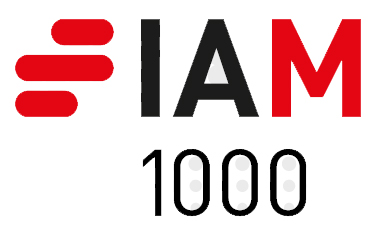 IAM Patent 1000 2023